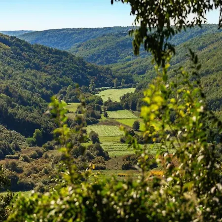 別荘 In With Sea View